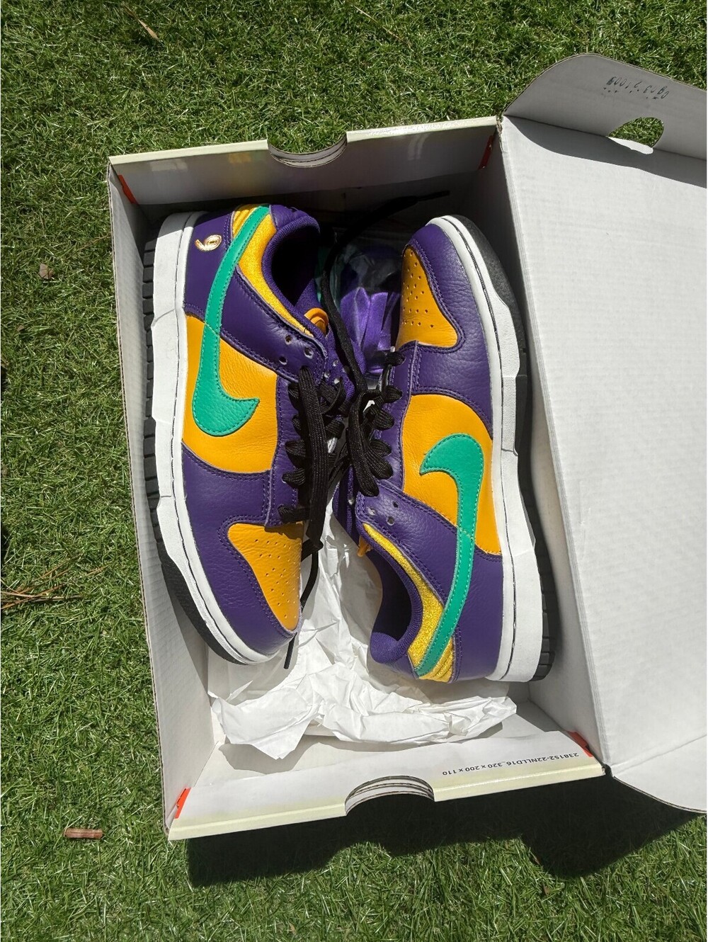 Nike Dunk Low multicolor purple yellow green